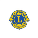 pièces de défi de l'armée